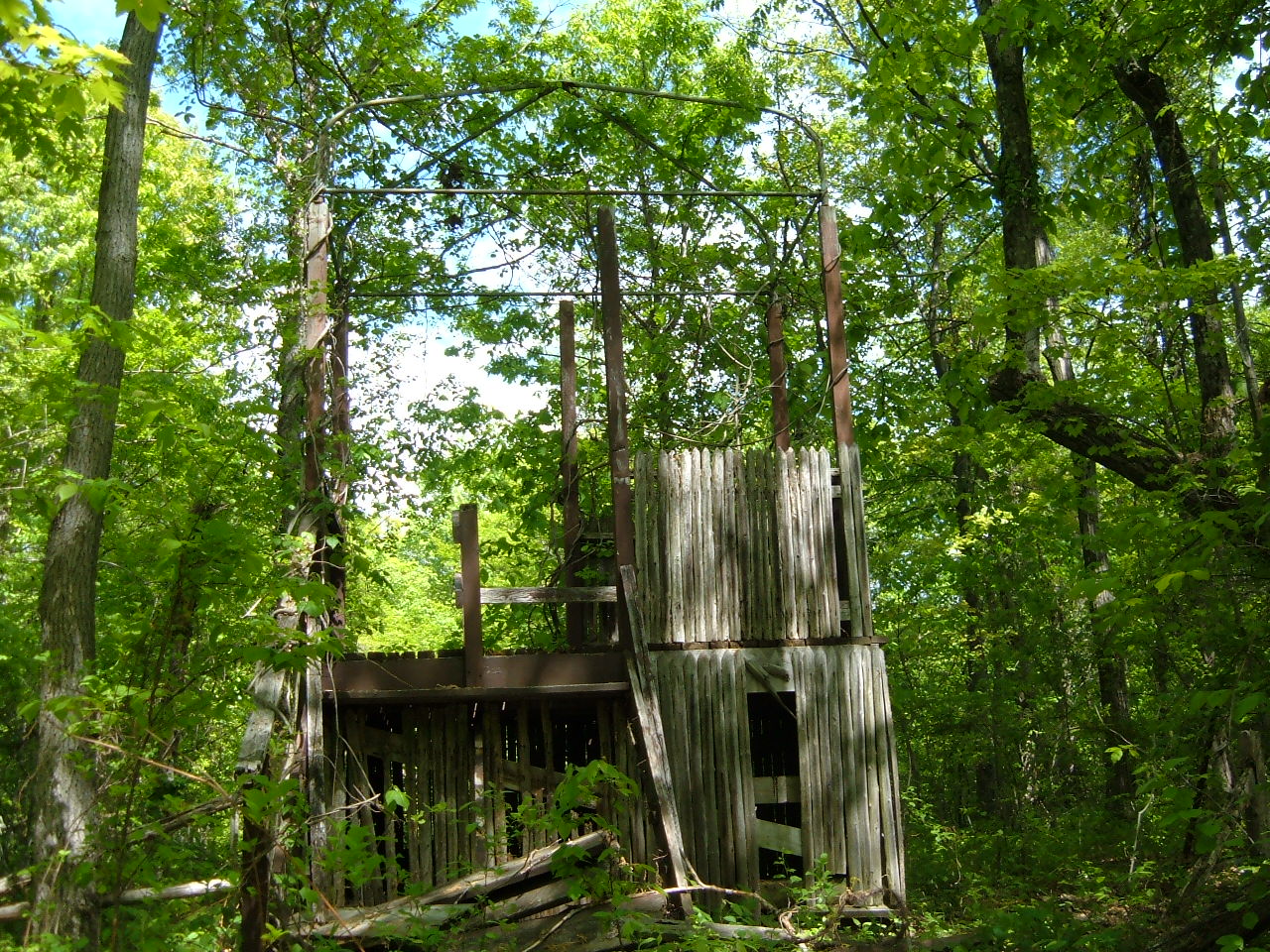 a look back at jungle habitat